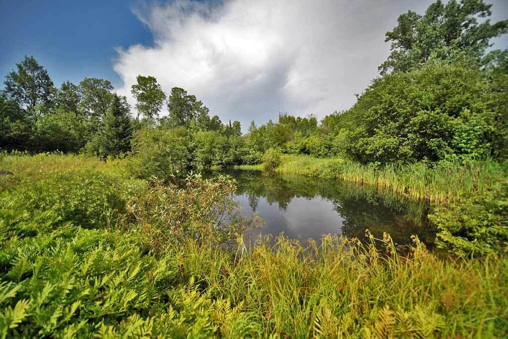 1215 Springfield Road Danforth, ME 04424 - Photo 6 of 31 pond-maine-land-danforth
