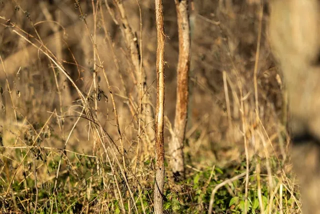 $6,502,000 | 14030 Ode Road, Platte City, MO 64079