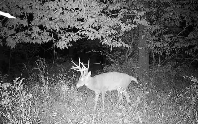 $6,502,000 | 14030 Ode Road, Platte City, MO 64079