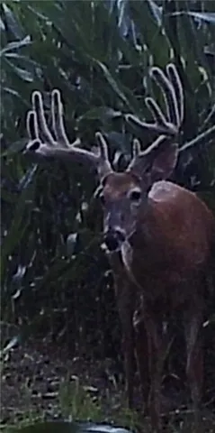 $6,502,000 | 14030 Ode Road, Platte City, MO 64079