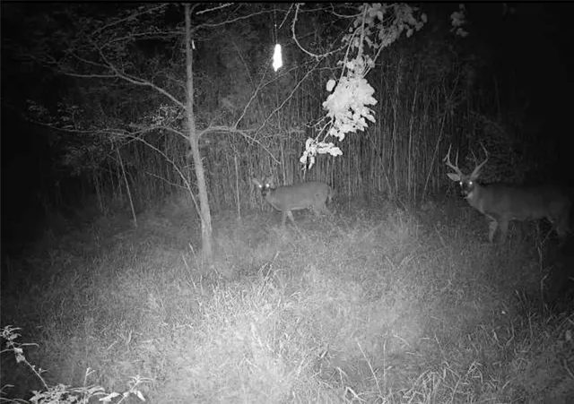 $6,502,000 | 14030 Ode Road, Platte City, MO 64079