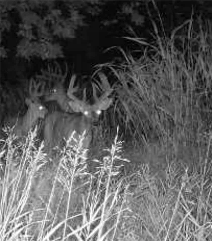 $6,502,000 | 14030 Ode Road, Platte City, MO 64079