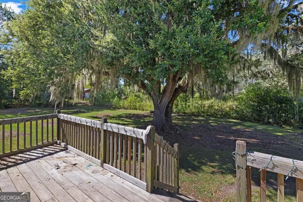 a view of a backyard with plants and a large tree