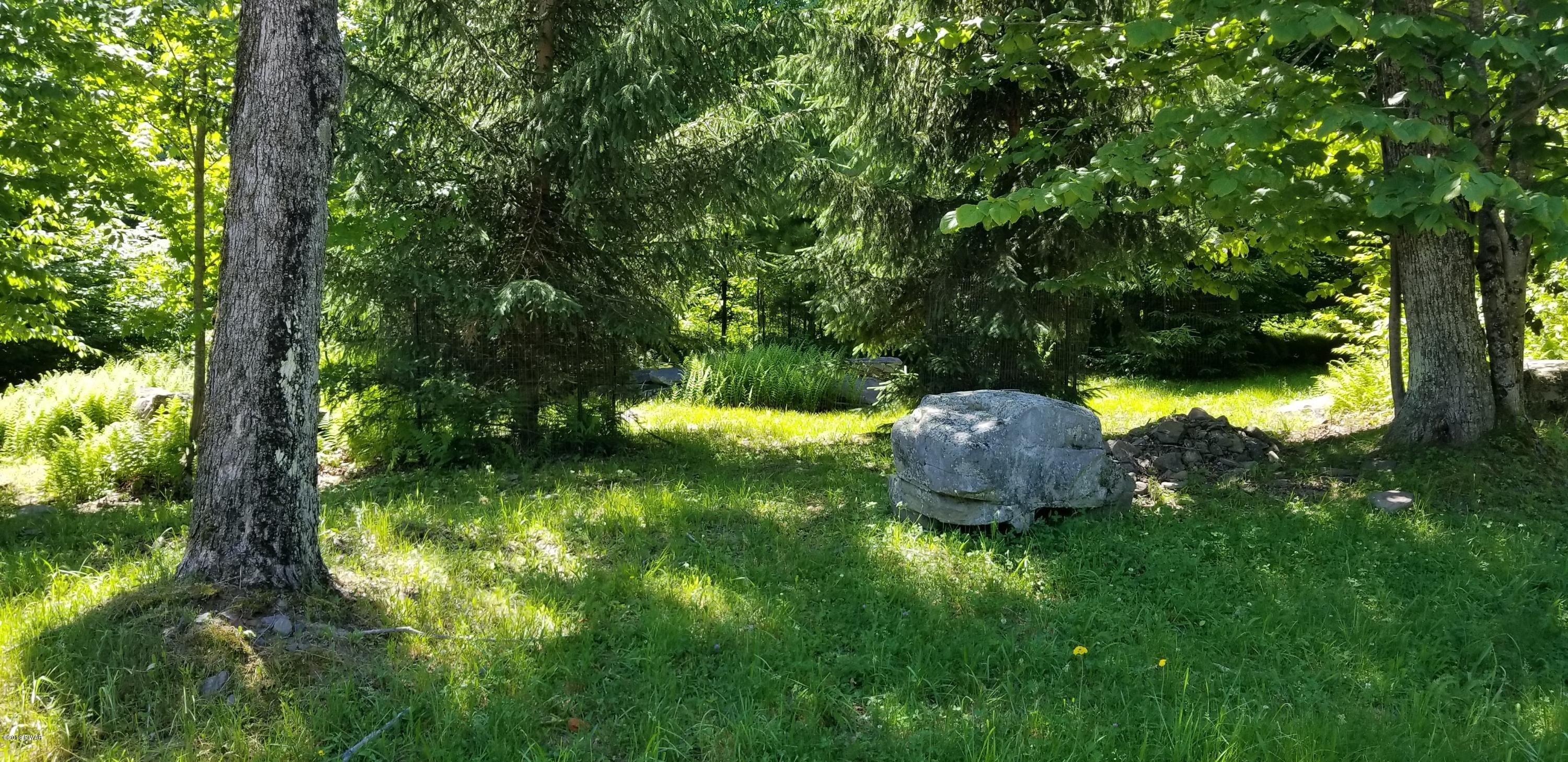 Lot 63 Old Woods Road Equinunk, PA 18417 - Photo 45 of 63
