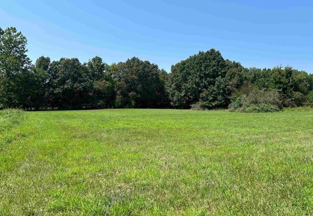 6617 Flyway Circle Carbondale, IL 62902 - Photo 2 of 7 a view of a green field with plants in the background