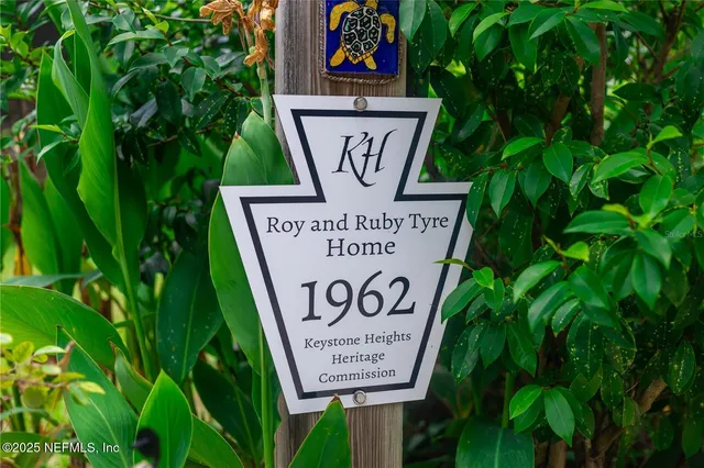 a view of a garden with plants and large trees