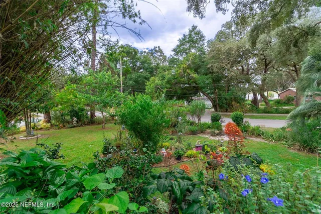 a view of a garden with plants and large trees
