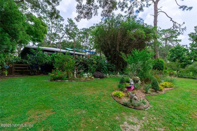 a view of a garden with plants and large trees