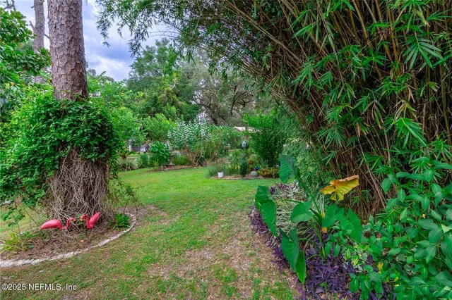 a view of a backyard with potted plants and large trees
