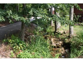 134 Herman Peters Road Elizabethton, TN 37643 - Photo 5 of 13 Photo 5