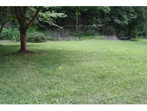 134 Herman Peters Road Elizabethton, TN 37643 - Photo 7 of 13 Photo 7