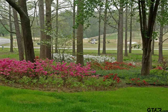 $26,500 | 1727 Pineview Lane, Hideaway, TX 75771