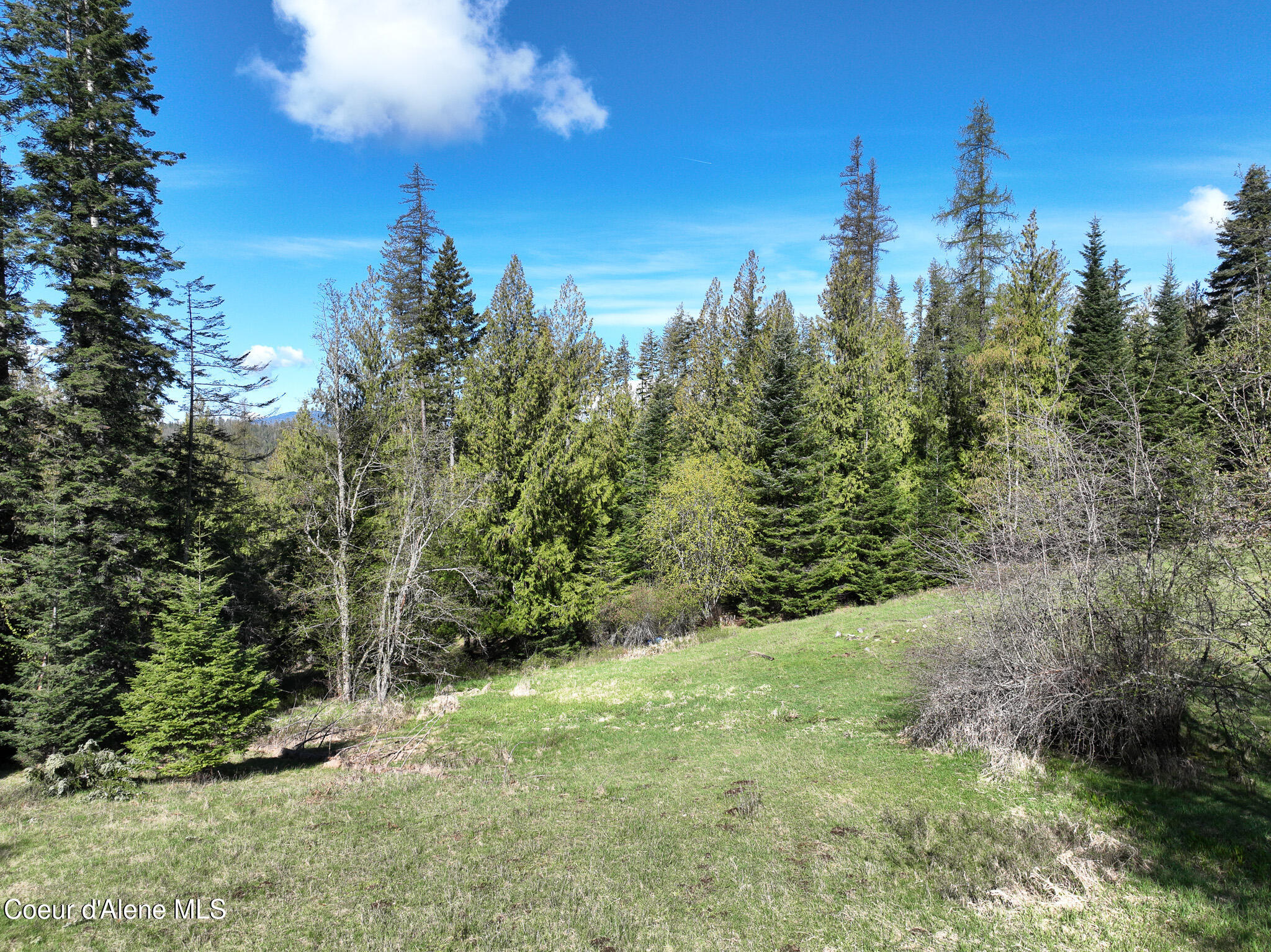 Nna Bottle Brand Road Hope, ID 83836 - Photo 36 of 38 DJI_0176