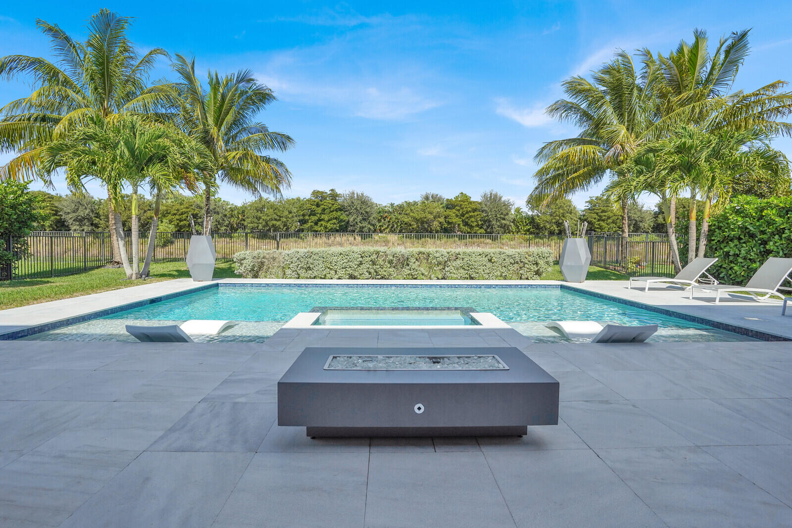 CUSTOM POOL & GAS BUILT IN FIRE PIT