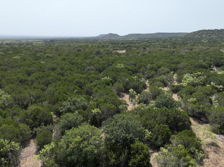 1093 Lemons Gap Road Ovalo, TX 79541 - Photo 14 of 18 Gallery Image 14