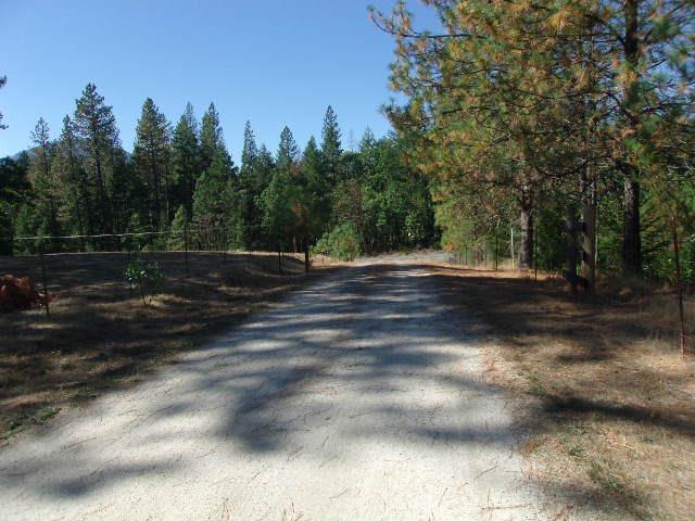 627 Draper Valley Road Selma, OR 97538 - Photo 20 of 31 Additional Photo