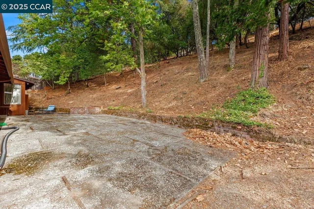 a view of a yard with plants and trees