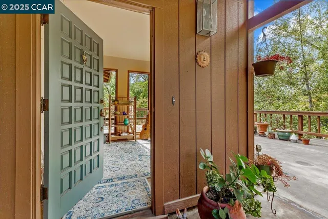 a view of potted plant in front of a door