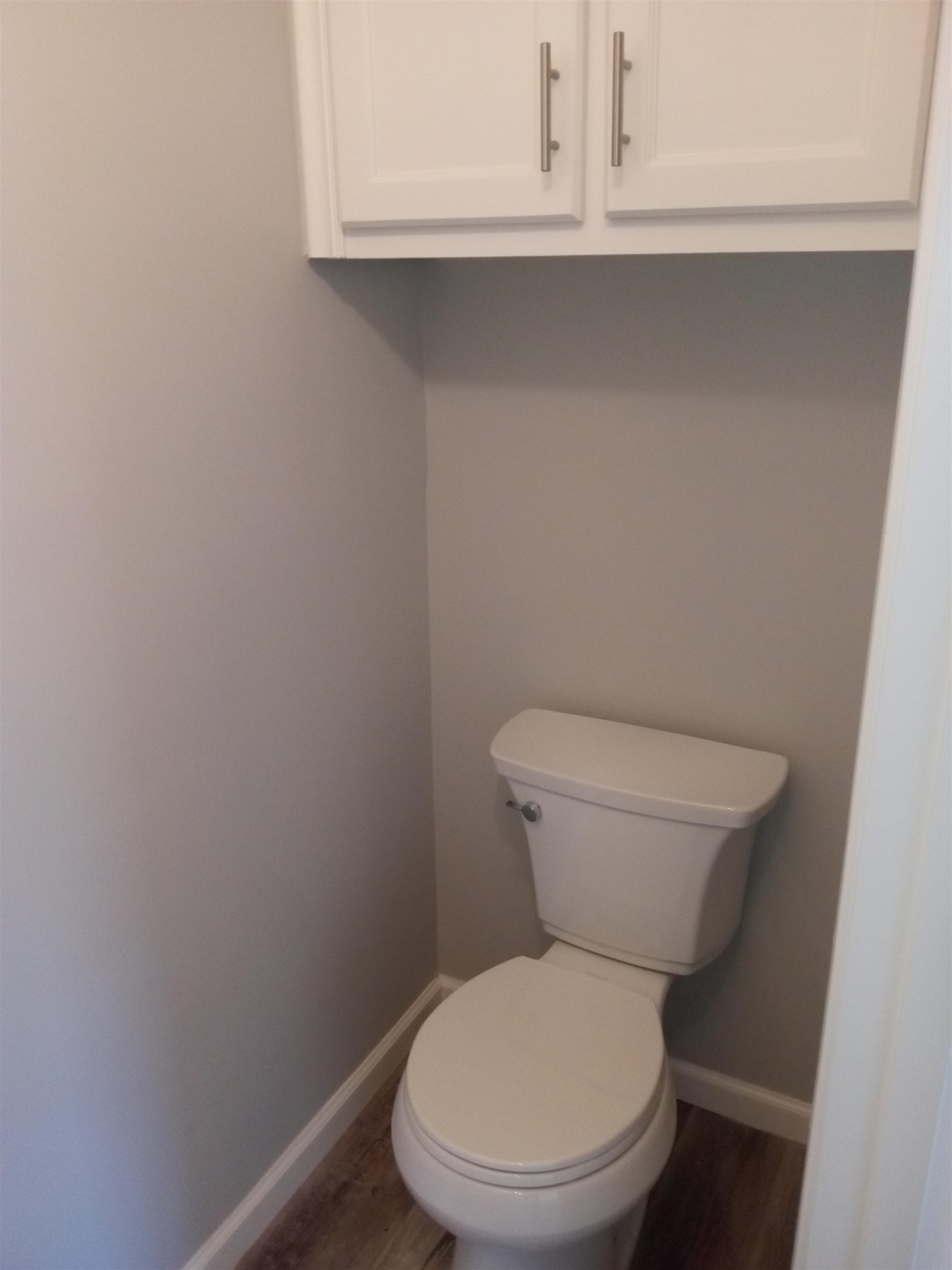 1712 Sanders Road Stanton, TN 38069 - Photo 9 of 10 Bathroom with hardwood / wood-style flooring and toilet