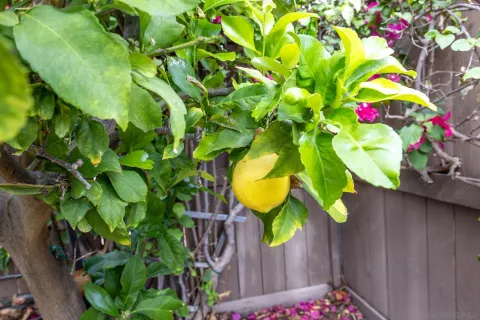 $1,399,000 | 7957 Auberge Circle, San Diego, CA 92127