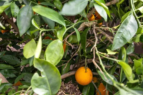 $1,399,000 | 7957 Auberge Circle, San Diego, CA 92127