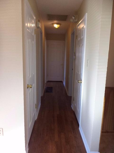 145 Rugby Road Lexington, KY 40504 - Photo 19 of 38 Photo 19