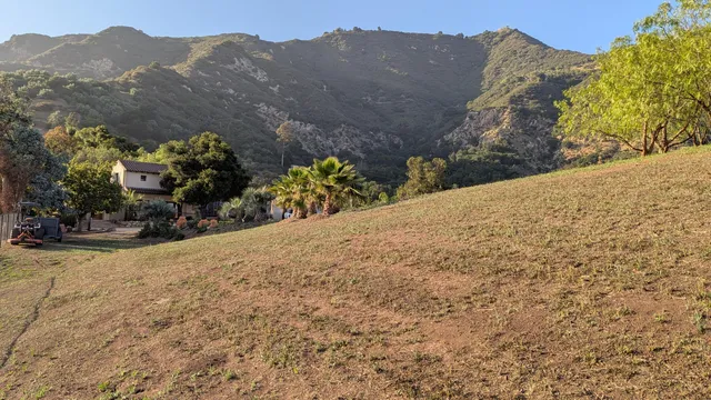 a view of a yard with a mountain