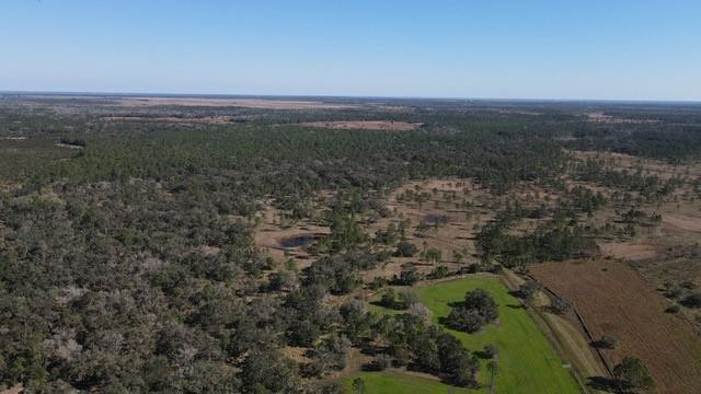 545 New Boot Heel Road Venus, FL 33960 - Photo 14 of 22 Photo 14