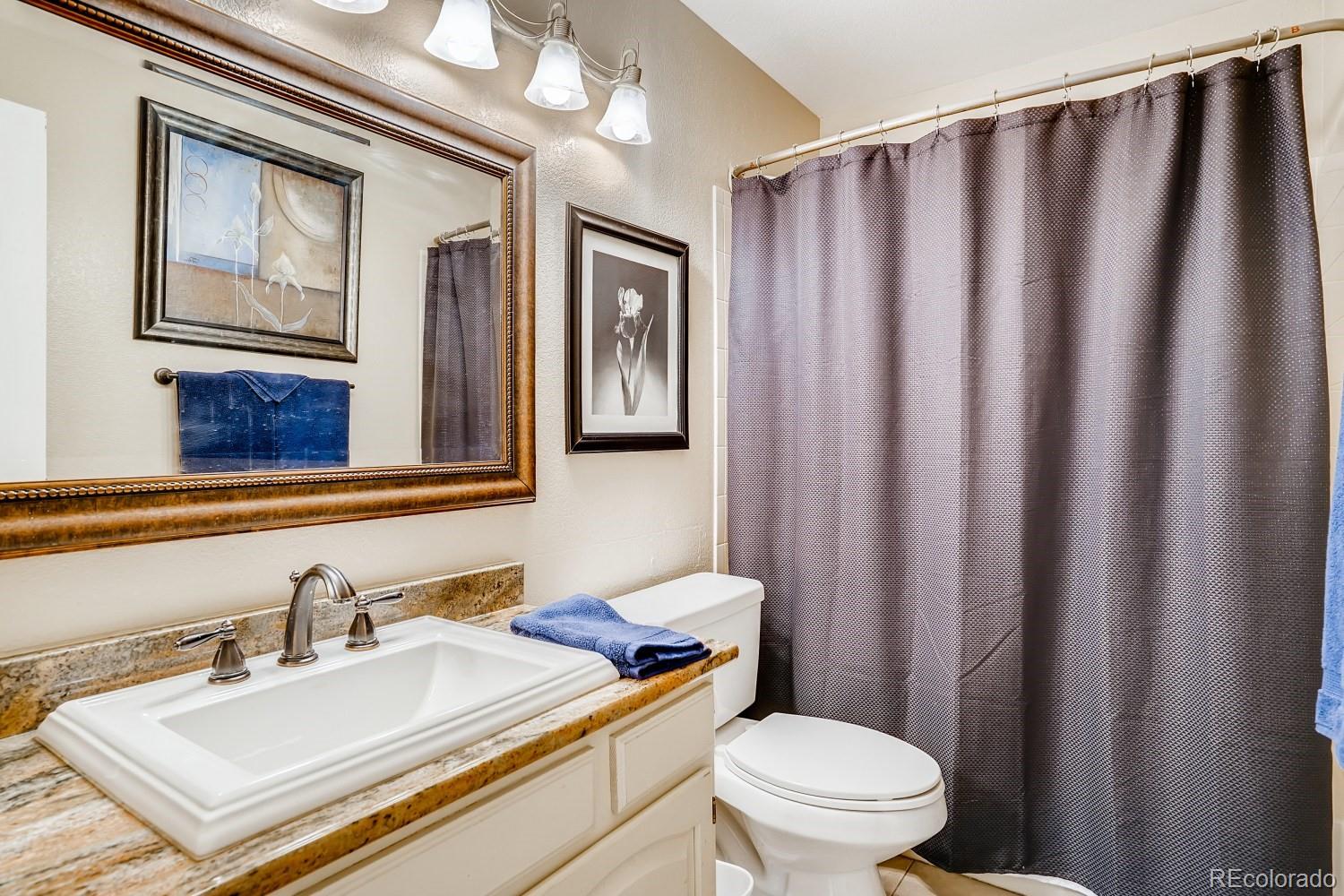 9638 Pinebrook Street Highlands Ranch, CO 80130 - Photo 17 of 35 Gallery Image 17