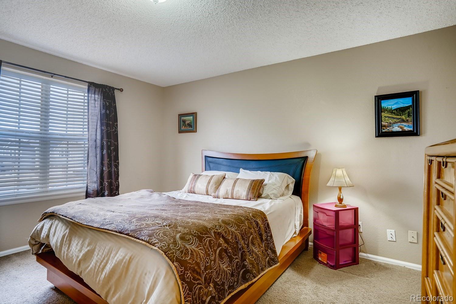 9638 Pinebrook Street Highlands Ranch, CO 80130 - Photo 18 of 35 Gallery Image 18
