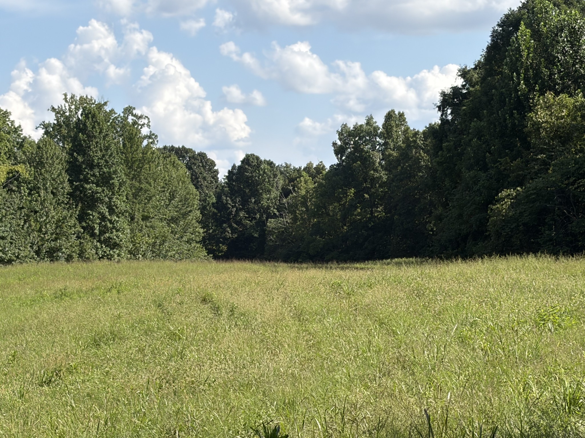 1448 Williams Hollow Road Pulaski, TN 38478 - Photo 68 of 70 Gallery Image 68
