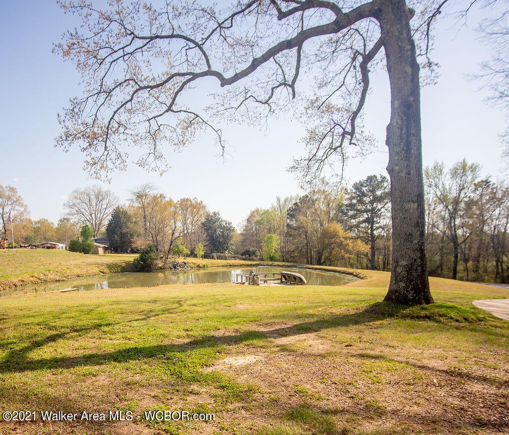 590 Bennett Road Jasper, AL 35503 - Photo 2 of 14 Gallery Image 2