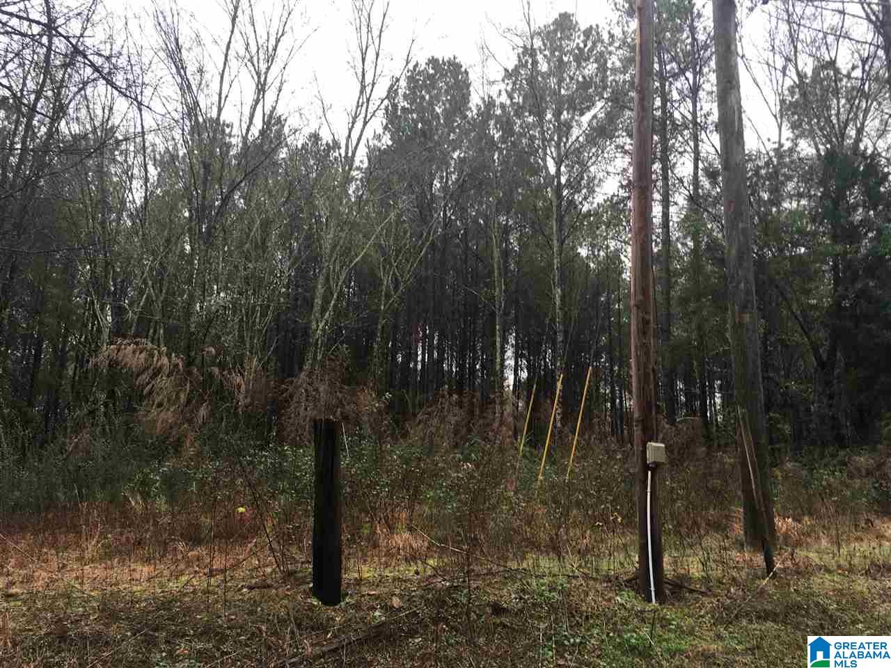 1245 Eureka Road, Unit 2 Lincoln, AL 35096 - Photo 16 of 32