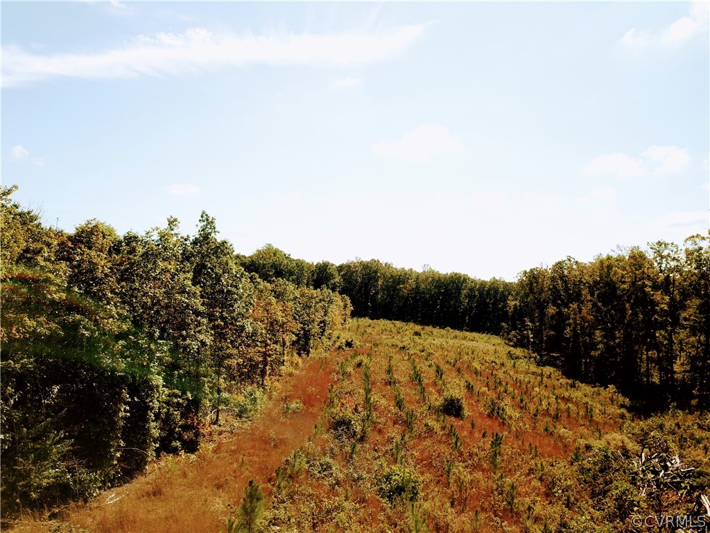 0 Glover Hill Road Buckingham, VA 23921 - Photo 2 of 50 a view of mountain view with lots of bushes
