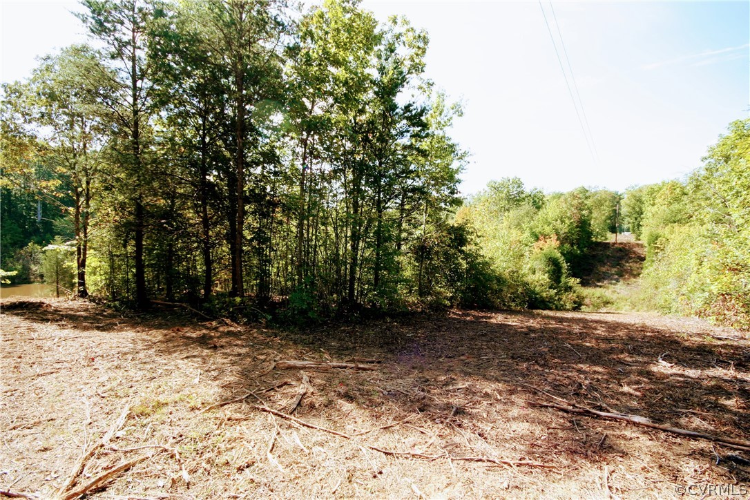 0 Glover Hill Road Buckingham, VA 23921 - Photo 21 of 50 a view of a yard with trees in the background