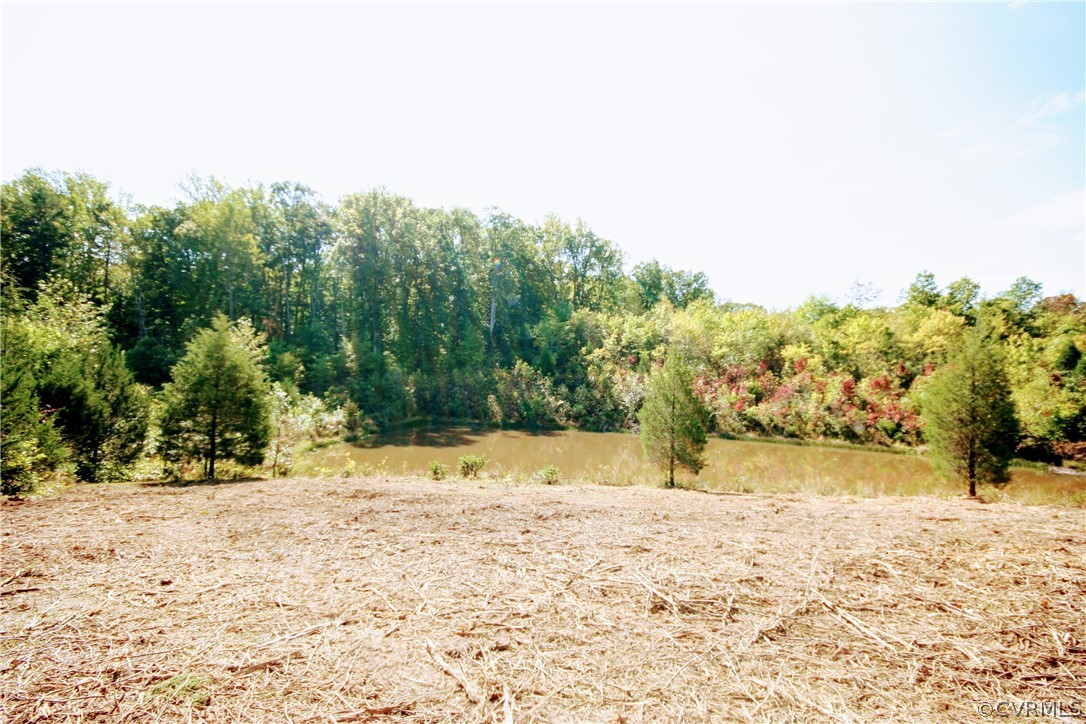 0 Glover Hill Road Buckingham, VA 23921 - Photo 24 of 50