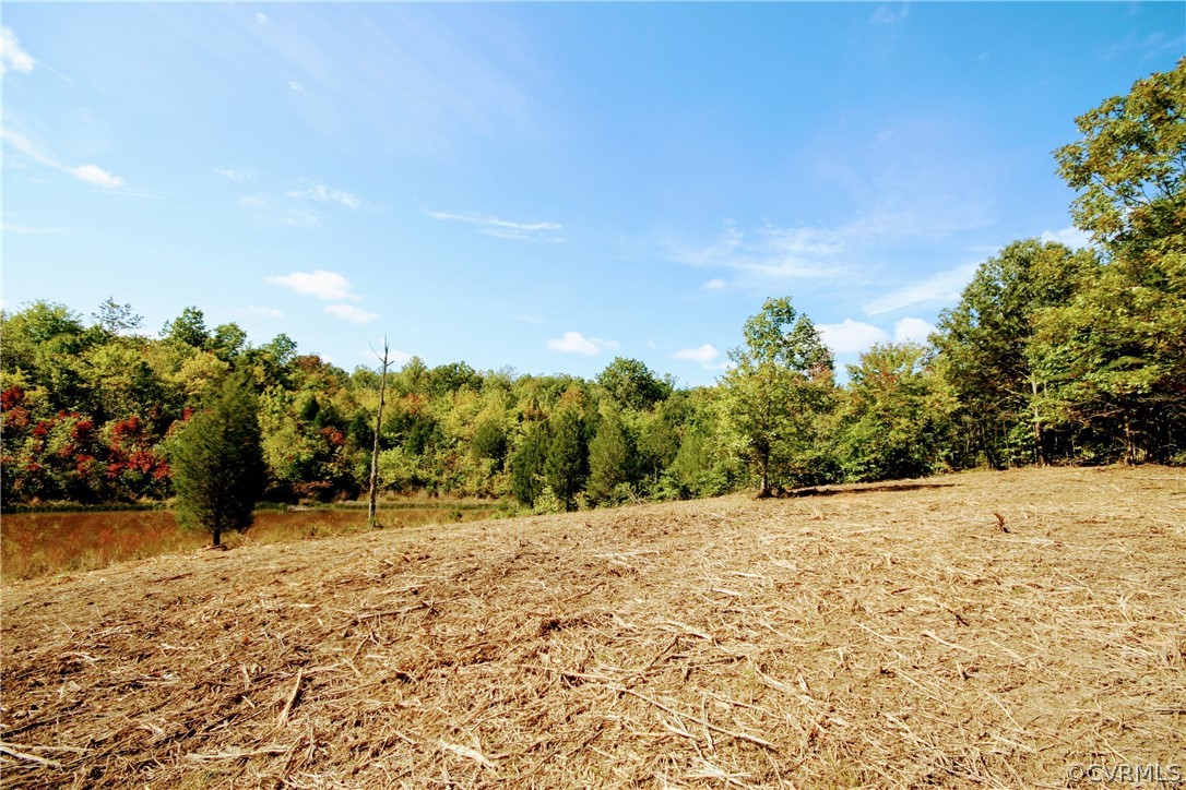 0 Glover Hill Road Buckingham, VA 23921 - Photo 25 of 50 a view of a yard with a tree
