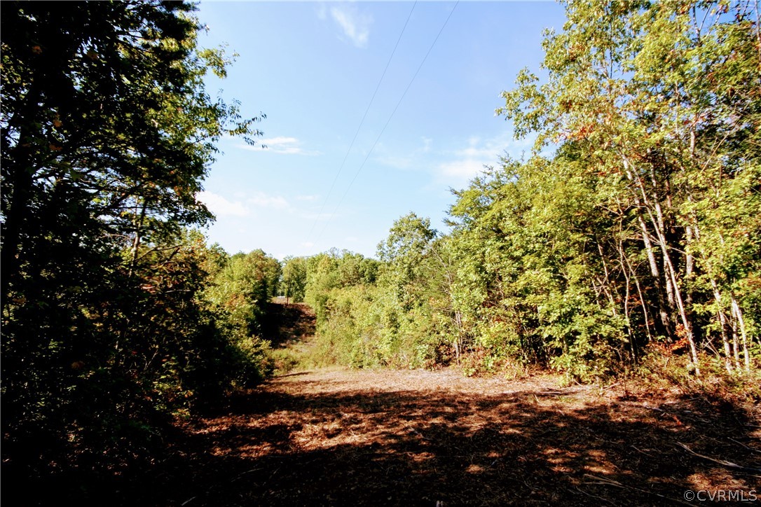 0 Glover Hill Road Buckingham, VA 23921 - Photo 31 of 50 a view of a yard with a tree