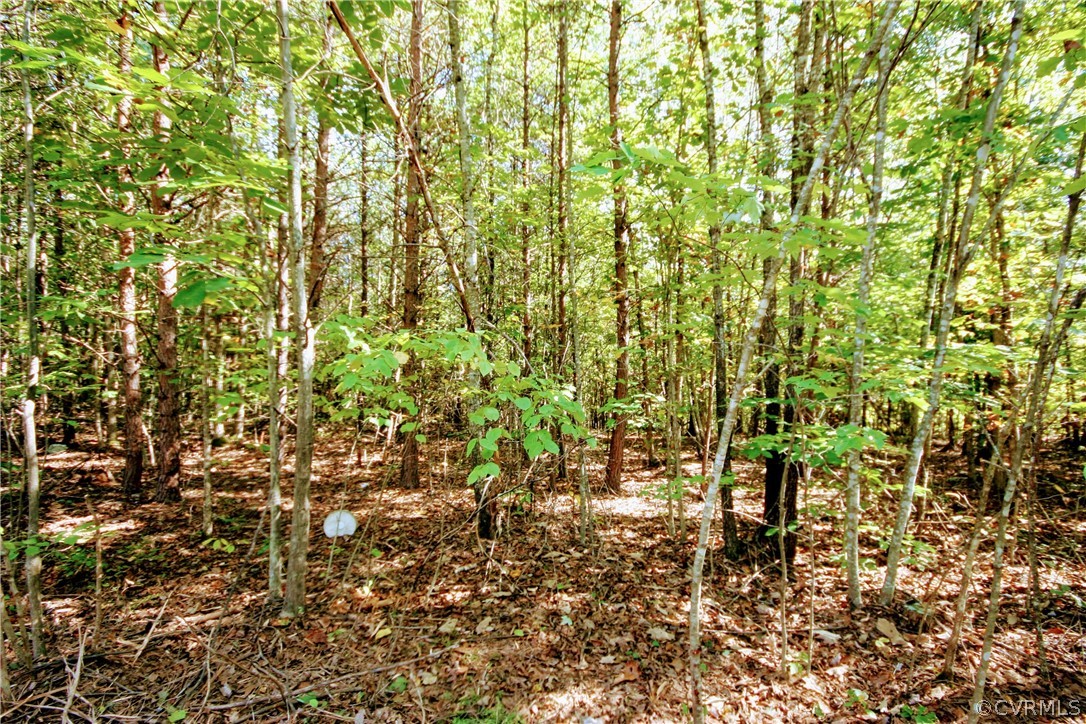 0 Glover Hill Road Buckingham, VA 23921 - Photo 32 of 50 a view of a yard