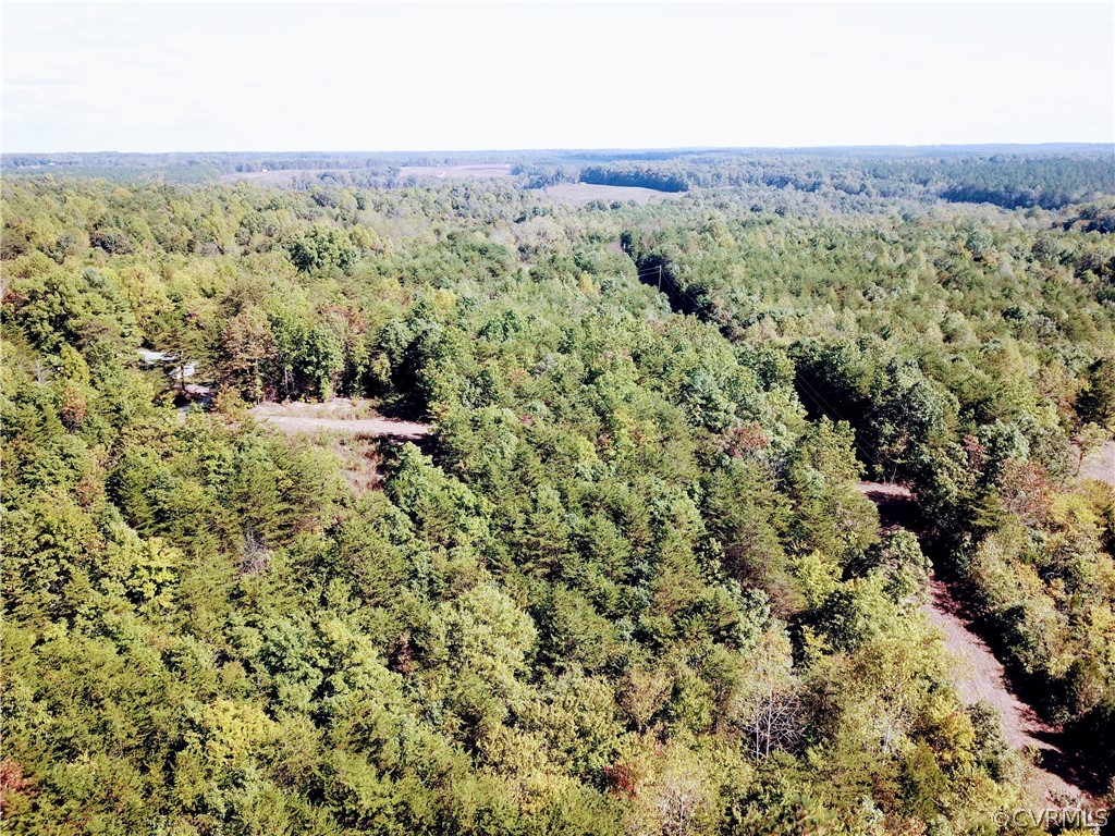 0 Glover Hill Road Buckingham, VA 23921 - Photo 7 of 50 an aerial view of forest