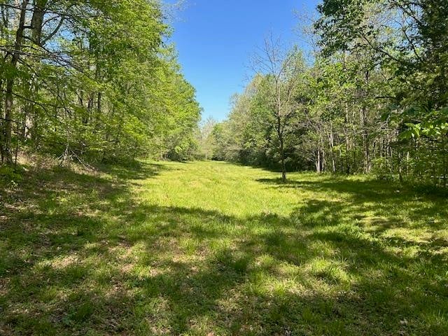 0 Mt Tussell Road Knifley, KY 42753 - Photo 44 of 46 Gallery Image 44