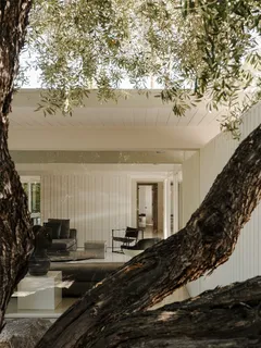 a living room with furniture and a potted plant