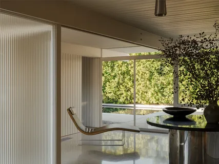 a potted plant sitting in front of a window