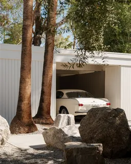 a bedroom with a bed and a large tree