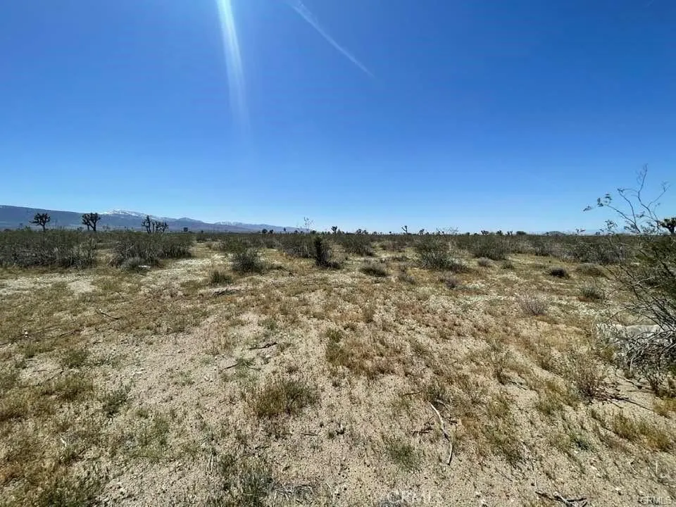 0 Dos Palmas Road Pinon Hills, CA 92372 - Photo 14 of 18