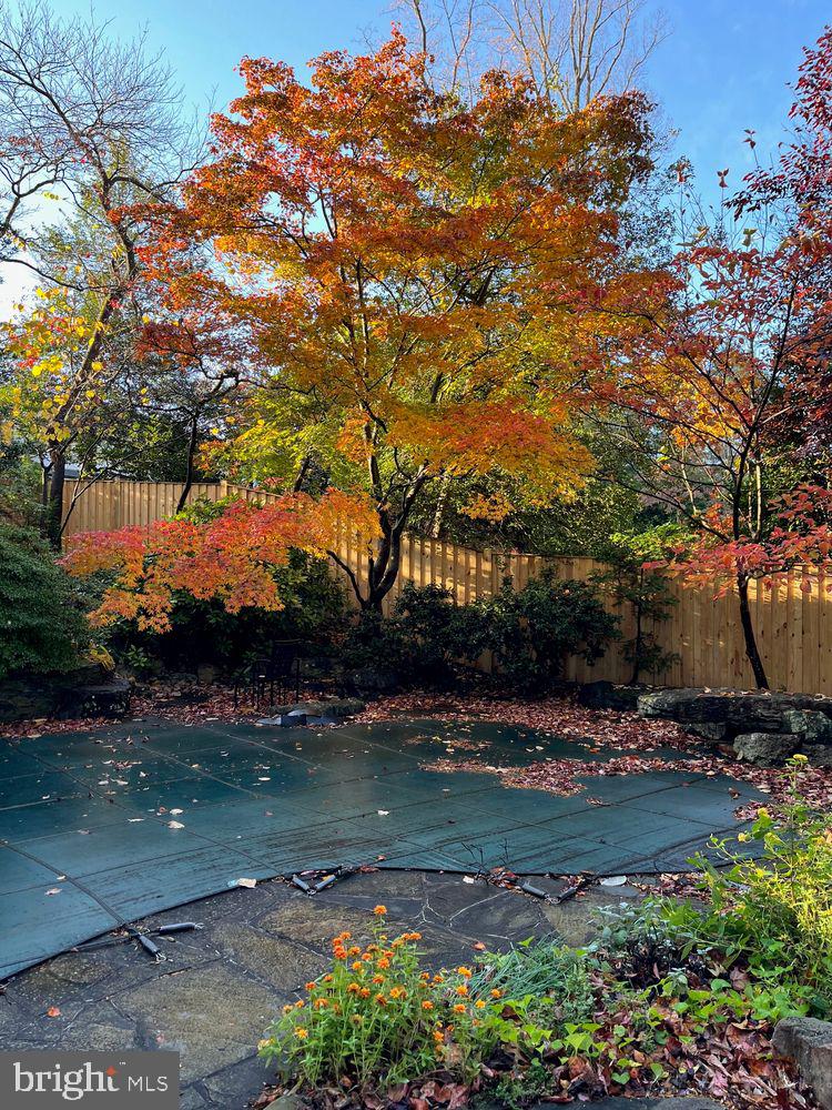 5810 Overlea Road Bethesda, MD 20816 - Photo 50 of 52 Beautiful fall foliage
