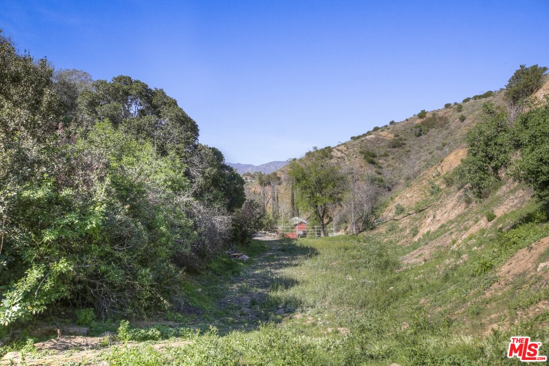 9609 Wornom Avenue Sunland, CA 91040 - Photo 39 of 52 a view of a field with trees in the background