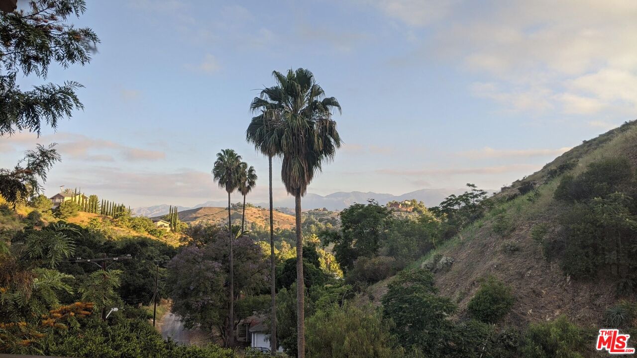 9609 Wornom Avenue Sunland, CA 91040 - Photo 51 of 52 a view of a yard with palm trees