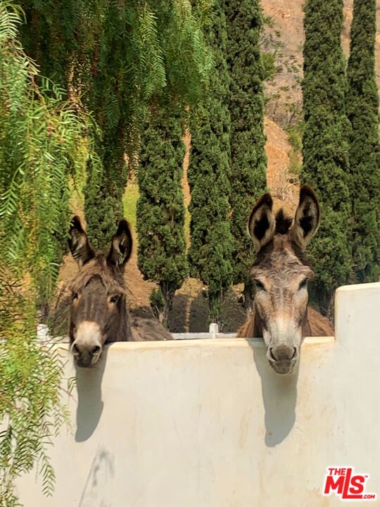 9609 Wornom Avenue Sunland, CA 91040 - Photo 52 of 52