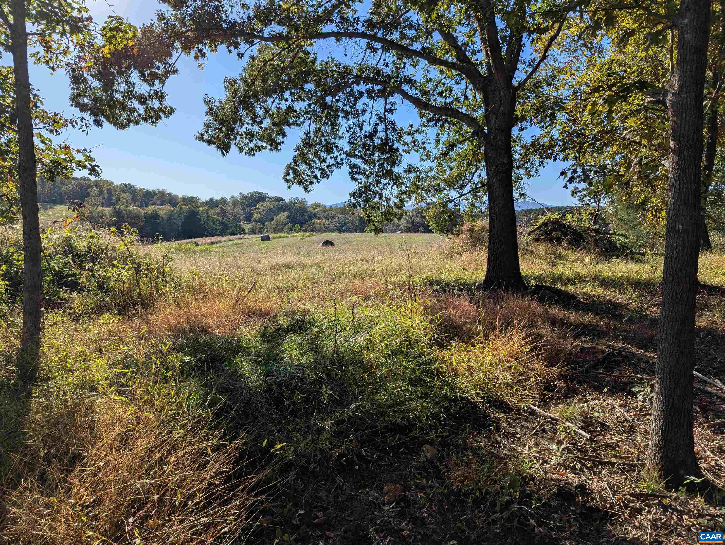 Lot 1 Advance Mills Road Ruckersville, VA 22968 - Photo 3 of 15 Gallery Image 3